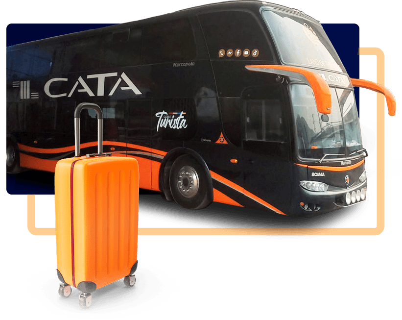 bus_cata